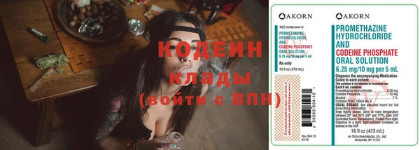 метадон Алексин