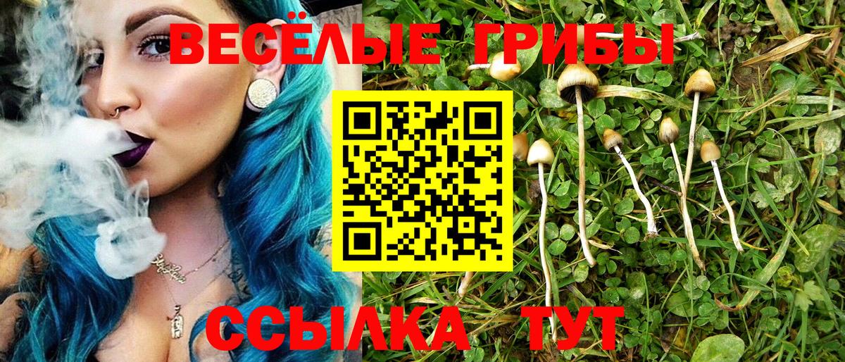 Галлюциногенные грибы Psilocybine cubensis  где купить наркотик  Углич  Вход с VPN 