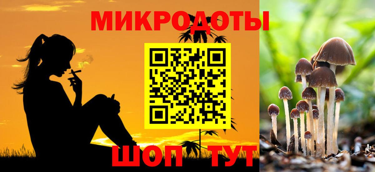 Псилоцибиновые грибы Psilocybine cubensis Углич